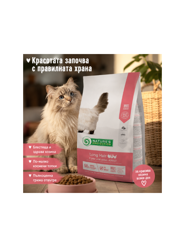 Дългокосместа котка със здрава и блестяща козина