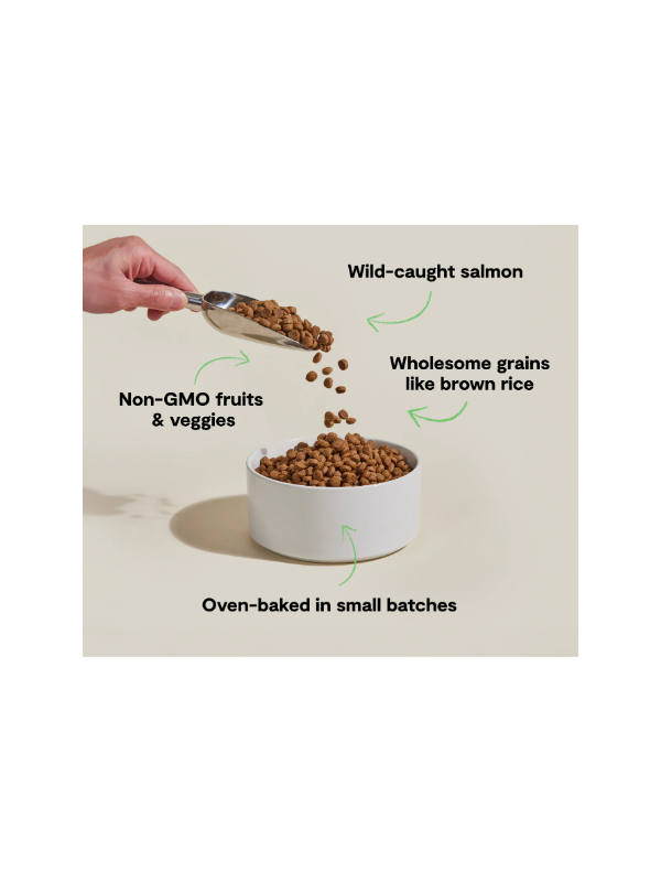OFP-Goodbowl-Salmon-Kibble-Recipe-3-668x580_600x800