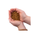 line-granuls-mini-adult-lamb-copy_600x800