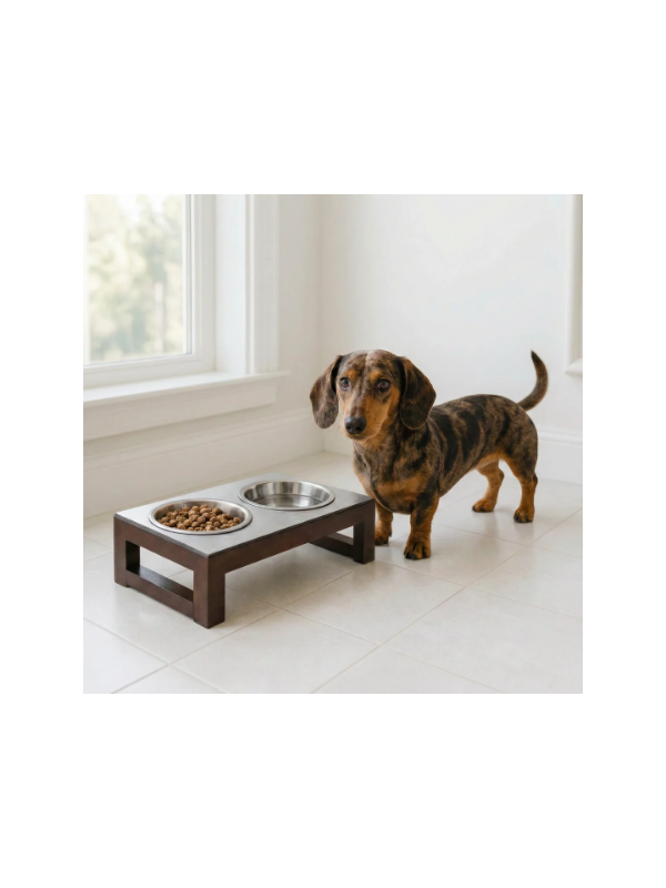 small_breed_modern_elevated_dog_bowl_feeder_for_small_dog_indus_with_dachshund_square_1080x_600x800