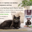 7deddbcf-7941-4c3c-a1ff-74072b9bf86c