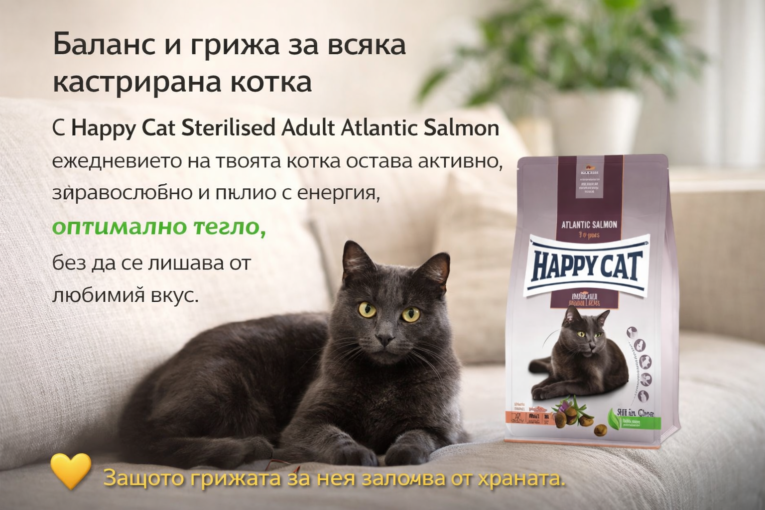 7deddbcf-7941-4c3c-a1ff-74072b9bf86c