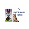 a234cc58-c96c-4784-90bf-5b4cb3b9d4af_600x800