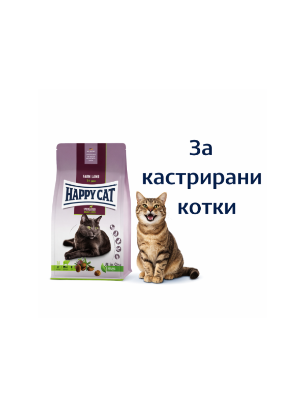 a234cc58-c96c-4784-90bf-5b4cb3b9d4af_600x800