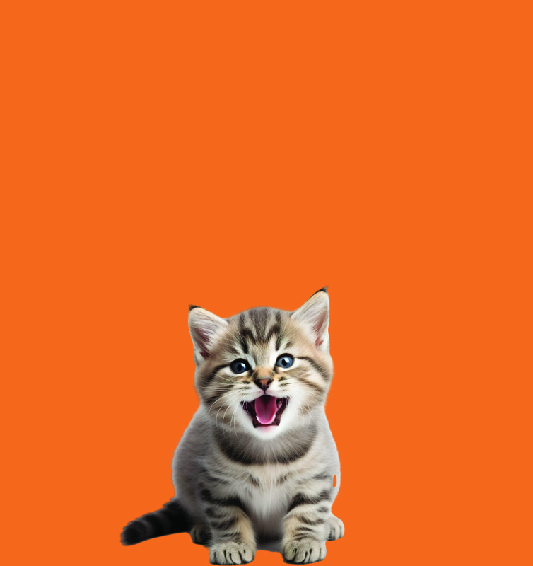 CatBackground