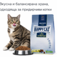 91964d83-8923-4a30-bd12-cb81c8a8b6f6