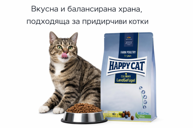 91964d83-8923-4a30-bd12-cb81c8a8b6f6