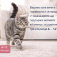 fe0a3107-9677-46df-95f1-8038ec7ac449
