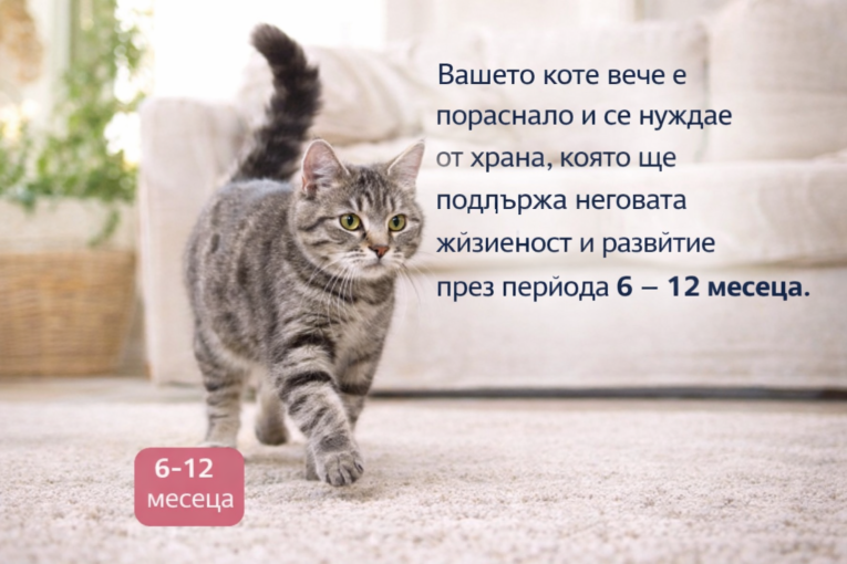 fe0a3107-9677-46df-95f1-8038ec7ac449