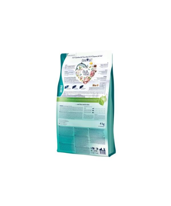 fit-vital-Mini-Adult-2
