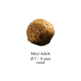 hd_mini_adult_5_600x800