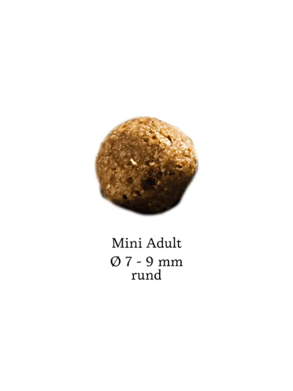 hd_mini_adult_5_600x800