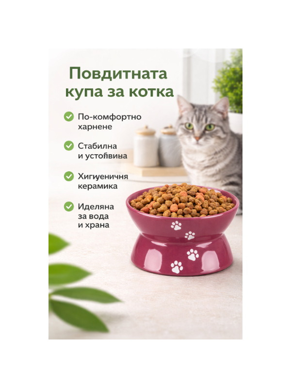 b6c4494d-621d-4f50-9333-37641806ed76_600x800