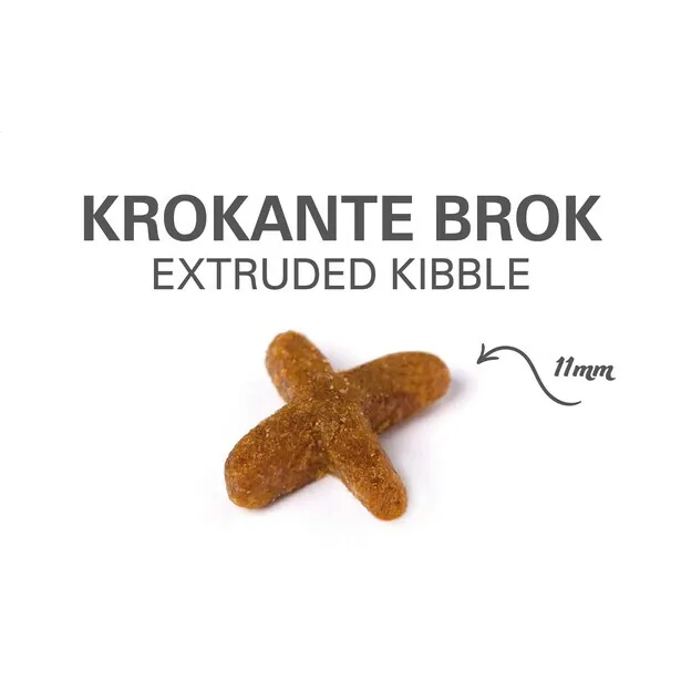 800x