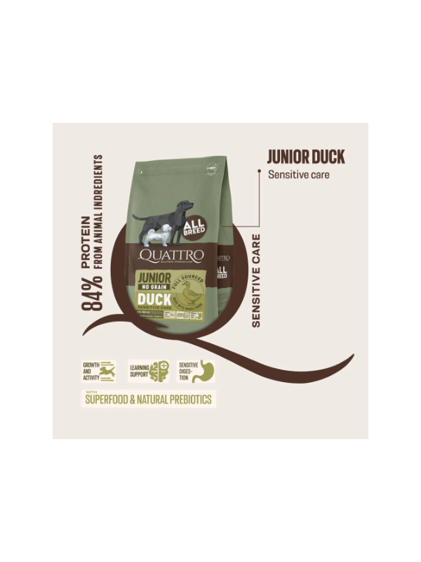 Quattro_Junior_Duck_Description_600x800