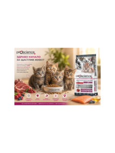 ProScience Kitten Lamb храна за котенца с 85% животински протеин, агнешко месо и Омега-3 за здравословен растеж.