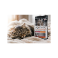 Доволна домашна котка, отпочиваща след хранене с ProScience Sterilized Urinary Chicken