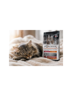 Доволна домашна котка, отпочиваща след хранене с ProScience Sterilized Urinary Chicken