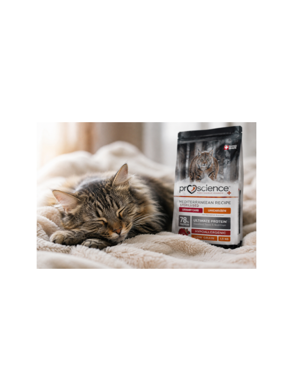 Доволна домашна котка, отпочиваща след хранене с ProScience Sterilized Urinary Chicken
