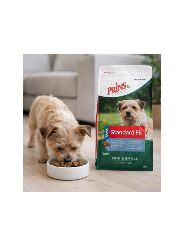 d8167fdb-0053-47ae-b659-aa34cd391a45_600x800