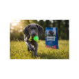 Младо активно куче – здравословно развитие с Happy Dog Sensible Junior