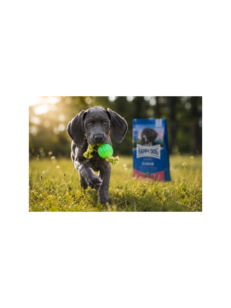 Младо активно куче – здравословно развитие с Happy Dog Sensible Junior