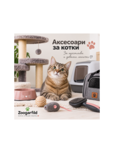 Аксесоари за котки