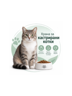 Кастрирани котки